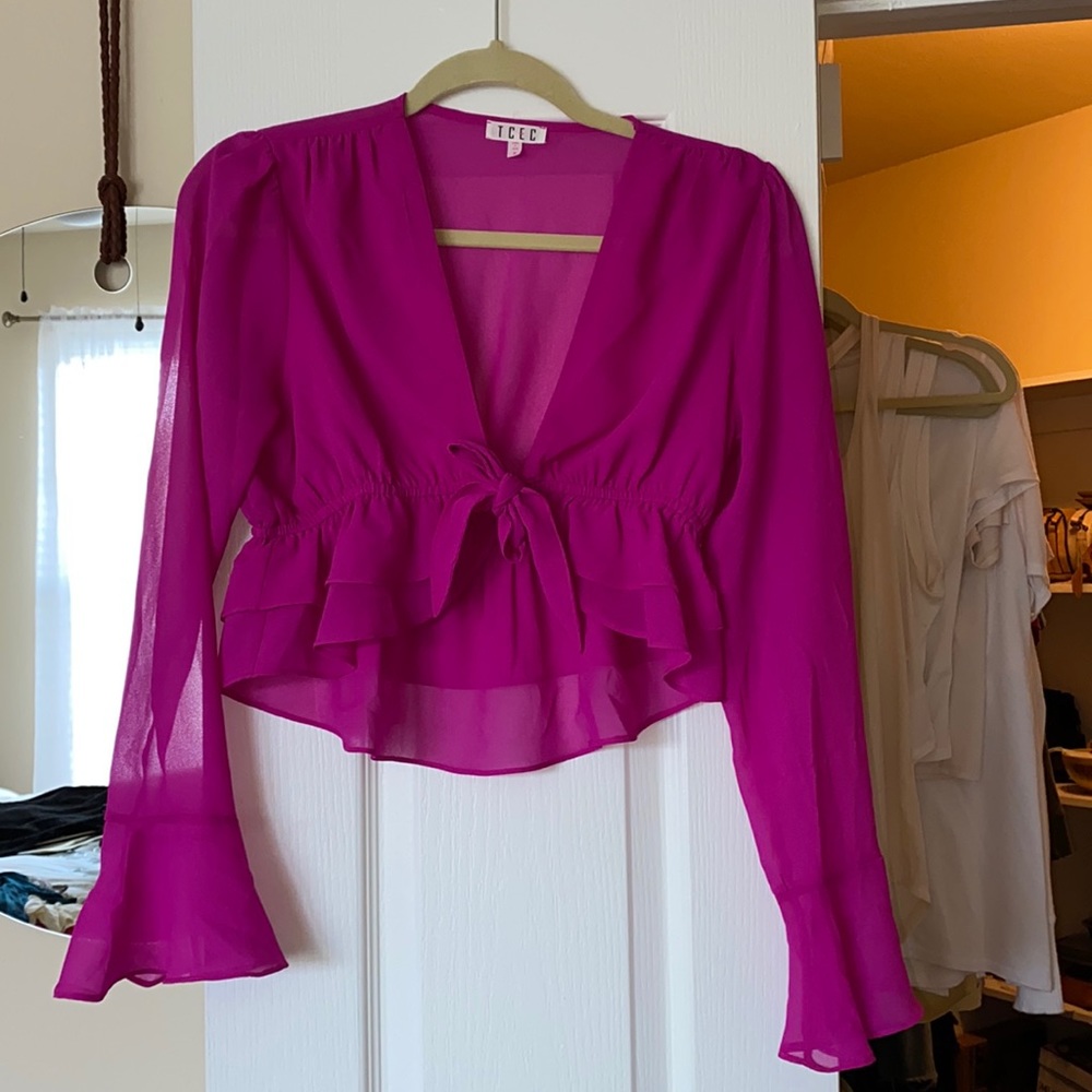 TCEC blouse crop top with bell sleeves (sheer fabric)